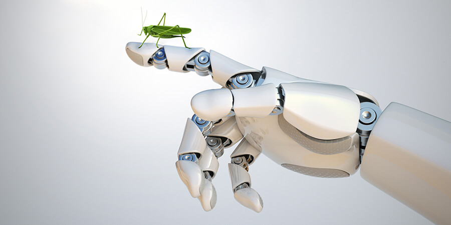 Insect Robotics